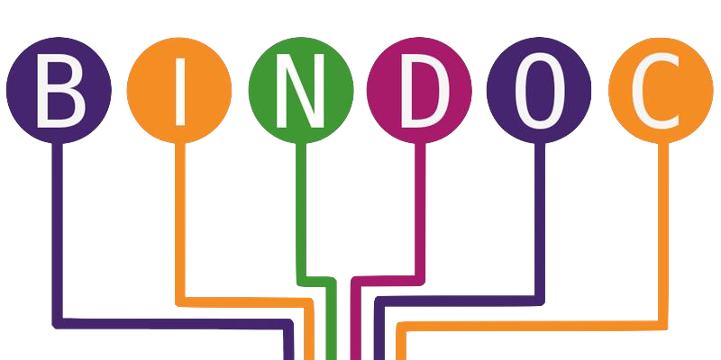 BinDoc_Logo_transparent